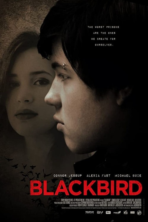 Blackbird poster